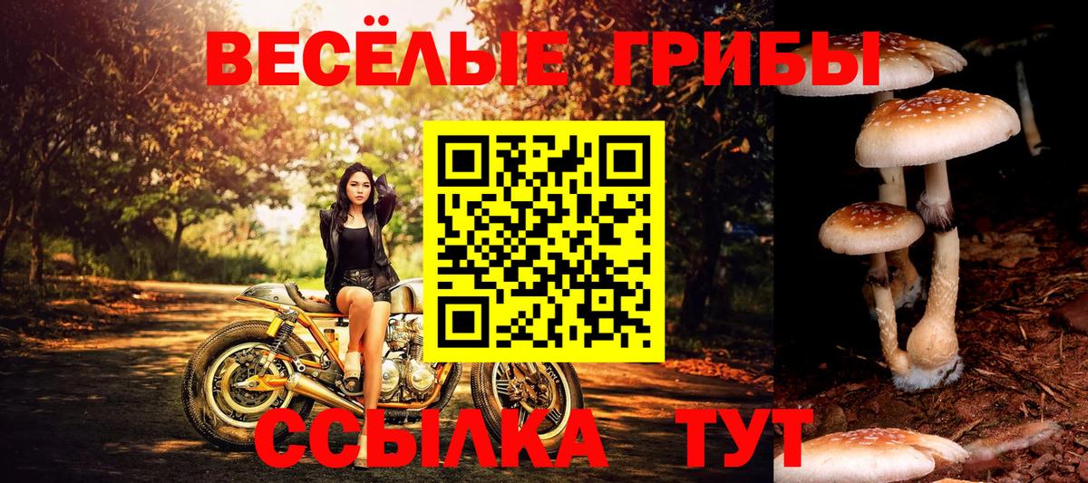 Псилоцибиновые грибы Magic Shrooms  Вход с VPN  Джанкой 
